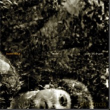 Joane Hetu: Seule dans les chants [CD]
