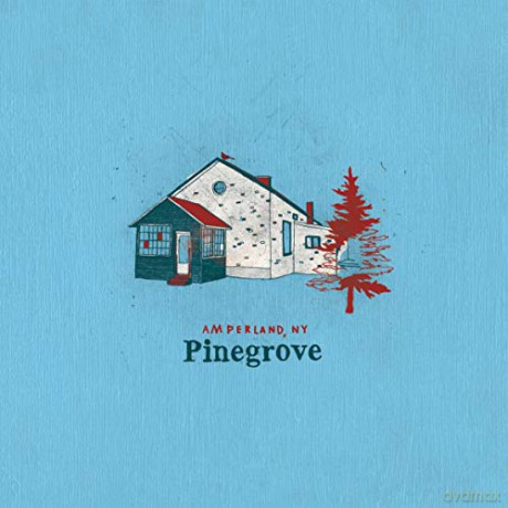 Pinegrove: Amperland, NY [2xWinyl]