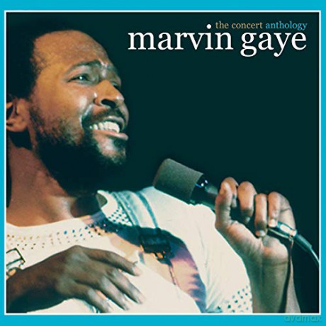Marvin Gaye: The Concert Anthology [2CD]
