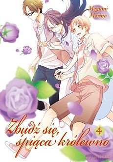 Zbudź się śpiąca królewno (Tom 4) - Megumi Morino [KOMIKS]