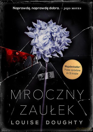 Mroczny zaułek (pocket) - Louise Doughty [KSIĄŻKA]