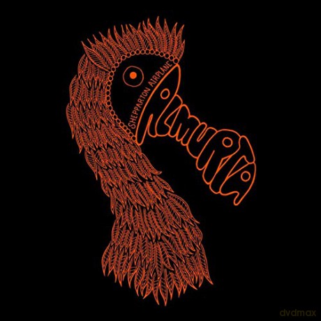 Shepparton Airplane: Almurta [Winyl]