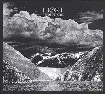 Fjort: Demontage [Winyl]