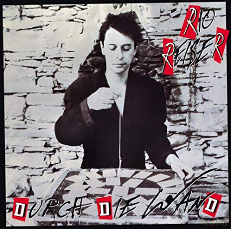 Rio Reiser: Durch die Wand [Winyl]