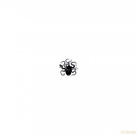 A Perfect Circle: Eat The Elephant (Limited) [2xWinyl]+[CD]