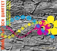 Mihaly Dresch: Egyenes zene - Straight music [CD]