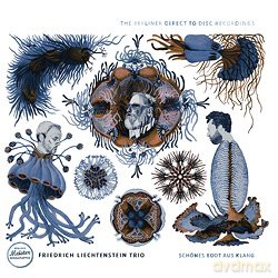 Friedrich Liechtenstein: Friedrich Liechtenstein Trio: Schones Boot aus Klang (Limited-Numbered) [Winyl]