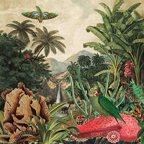 Lagoss: Imaginary Island Music Vol.1: Canary Islands [Winyl]