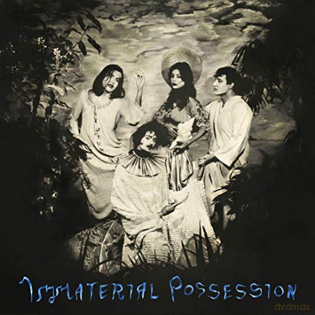 Immaterial Possession: Immaterial Possession [Winyl]