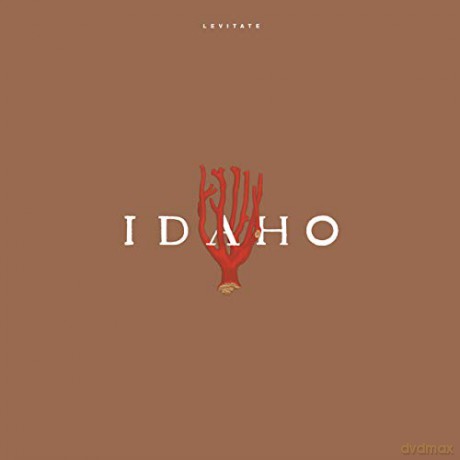 Idaho: Levitate [Winyl]