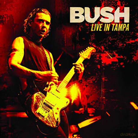 Bush: Live In Tampa (Limited) (Blue) [2xWinyl]