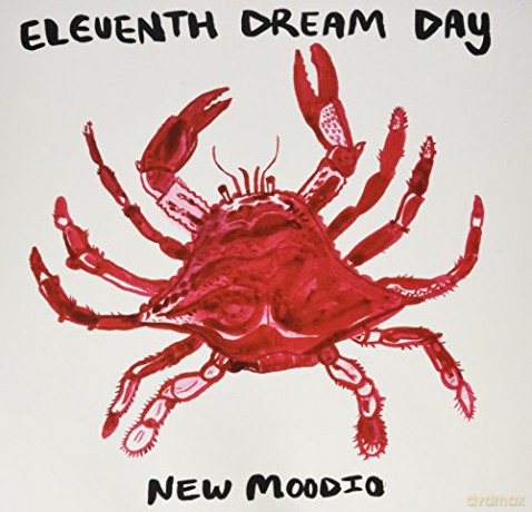 Eleventh Dream Day: New Moodio (Limited) [Winyl]