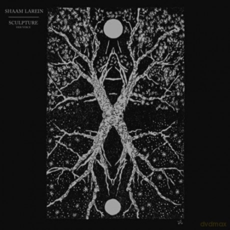 Shaam Larein: Sculpture [CD]