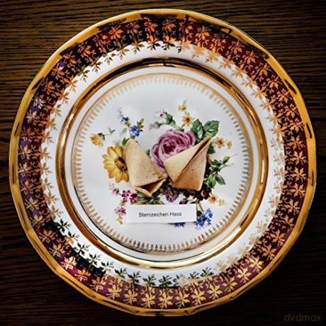 Audio88: Sternzeichen Hass (Picture) [Winyl]