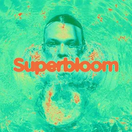 Ashton Irwin: Superbloom [Winyl]