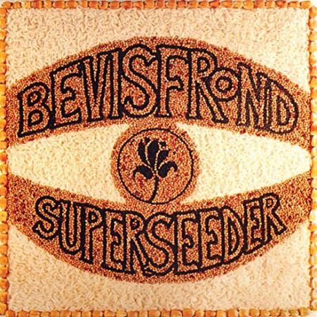 The Bevis Frond: Superseeder [2xWinyl]