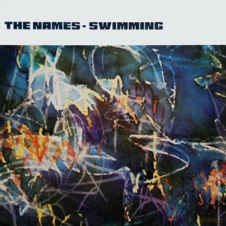 The Names: Swimming (Clear) (+ Bonustracks) [Winyl]