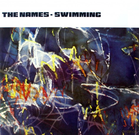 The Names: Swimming (Clear) (+ Bonustracks) [Winyl]