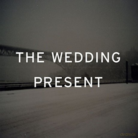 The Wedding Present: Take Fountain [Winyl]