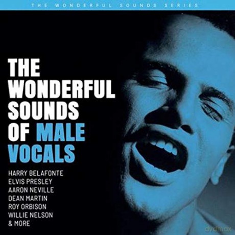 The Wonderful Sounds Of Male Vocals (Limited) [2xWinyl]
