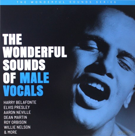 The Wonderful Sounds Of Male Vocals (Limited) [2xWinyl]