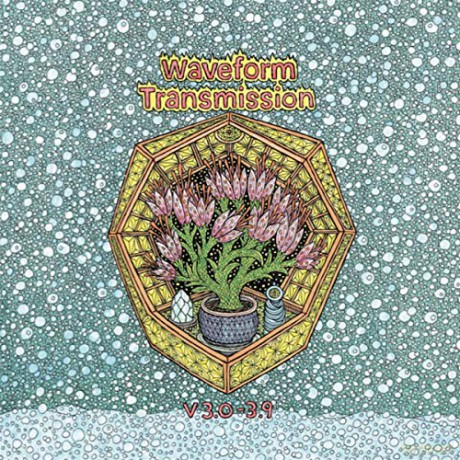 Waveform Transmission: V 3.0-3.9 [2xWinyl]