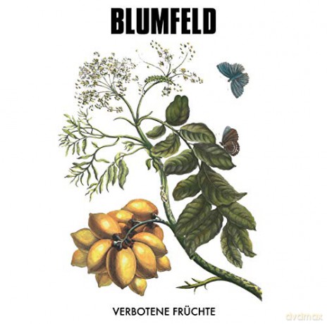 Blumfeld: Verbotene Fruchte (New Vinyl) [2xWinyl]