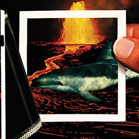 The Thermals: We Disappear [Winyl]
