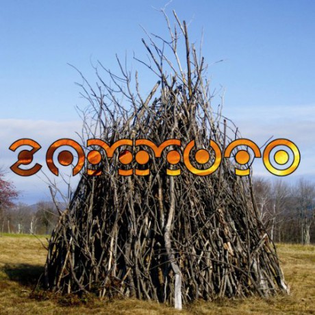 Raymond F. Zammuto: Zammuto [Winyl]