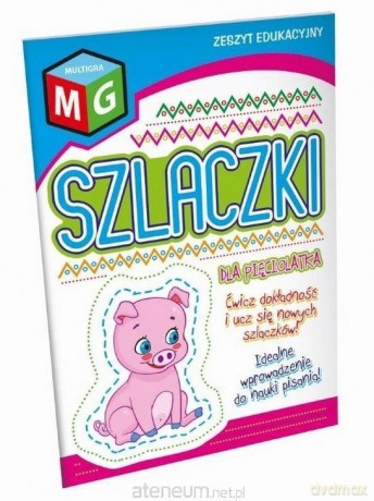 Szlaczki dla pięciolatka [KSIĄŻKA]
