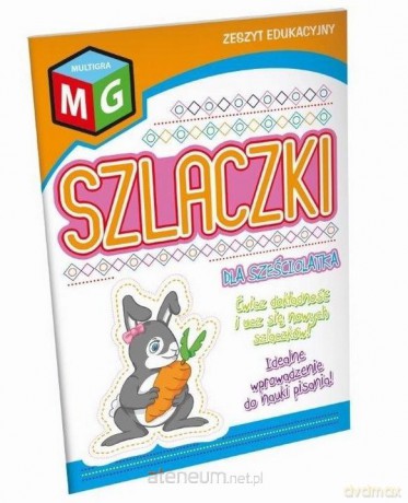 Szlaczki dla sześciolatka [KSIĄŻKA]