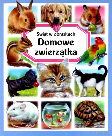 Świat w obrazkach. Domowe zwierzątka - Emilie Beaumont, Patricia Reinig [KSIĄŻKA]