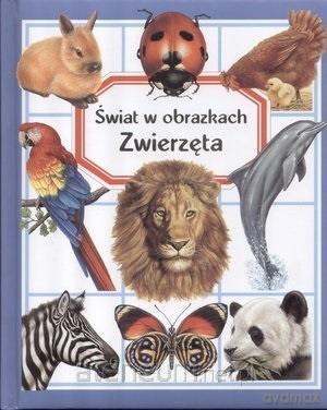 Świat w obrazkach. Zwierzęta - Emilie Beaumont [KSIĄŻKA]
