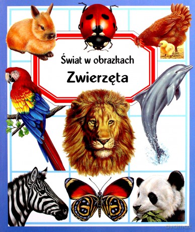 Świat w obrazkach. Zwierzęta - Emilie Beaumont [KSIĄŻKA]