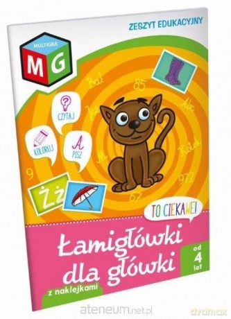 To ciekawe! Łamigówki dla główki [KSIĄŻKA]