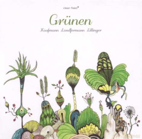 Achim Kaufmann, Robert Landfermann, Christian Lilinger: Grunen [CD]