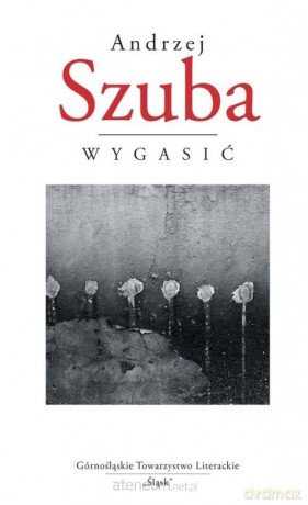 Wygasić - Andrzej Szuba [KSIĄŻKA]