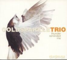 Gold Sparkle Trio: Thunder Reminded Me-Live in NYC [CD]