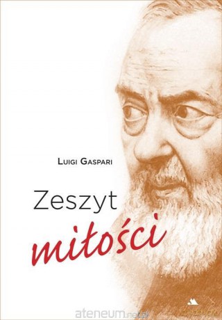 Zeszyt miłości - Luigi Gaspari [KSIĄŻKA]