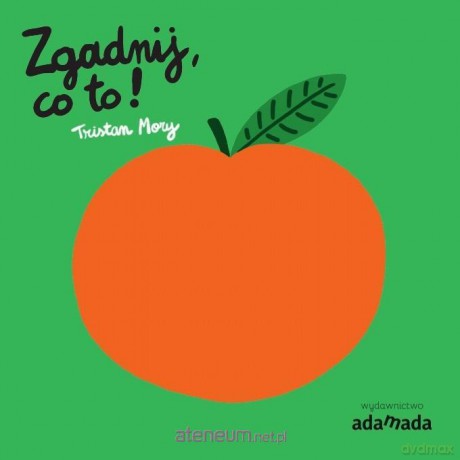 Zgadnij, co to! - Mory Tristan [KSIĄŻKA]