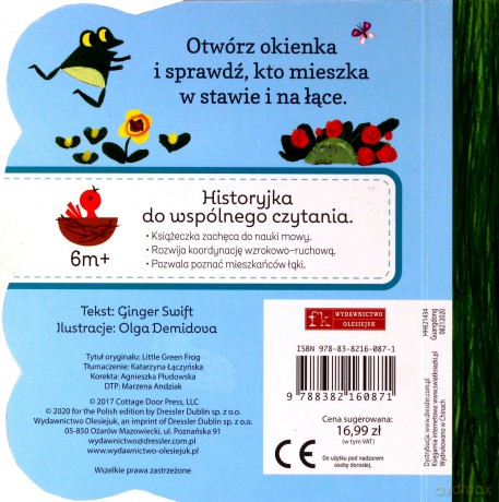 Zielona żabka. Książeczka z okienkami - Ginger Swift [KSIĄŻKA]