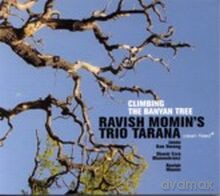 Ravish Momin's Trio Tarana: Climbing the Banyan Tree [CD]