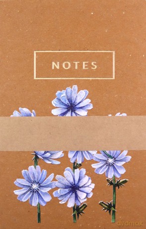 Notes Kwiaty Polskie Cykoria KPL 6