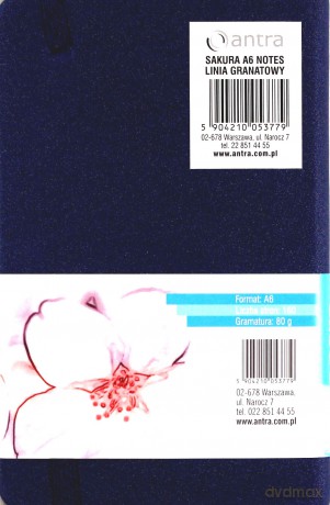Notes sakura a6 linia granatowy