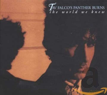 Tav Falco And Panther Burns: World We Knew + Shake Rag + Live In Bordeaux [2CD]