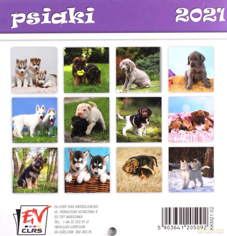 Kalendarz 2021 13 Plansz 16x16cm Psiaki EV-CORP [KALENDARZ]