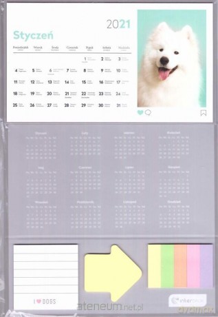Kalendarz 2021 Biurkowy I love Dogs [KALENDARZ]