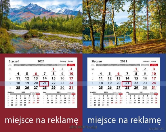 Kalendarz 2021 Jednodzielny z główką LUX mix PP [KALENDARZ]