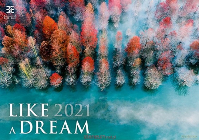 Kalendarz 2021 Like a dream EX HELMA [KALENDARZ]