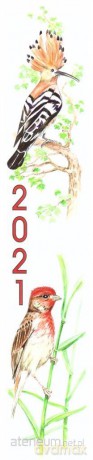 Kalendarz 2021 Paskowy Ptaki ADAM [KALENDARZ]